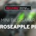 Roseapple Pi ön inceleme | Roseapple Pi first look